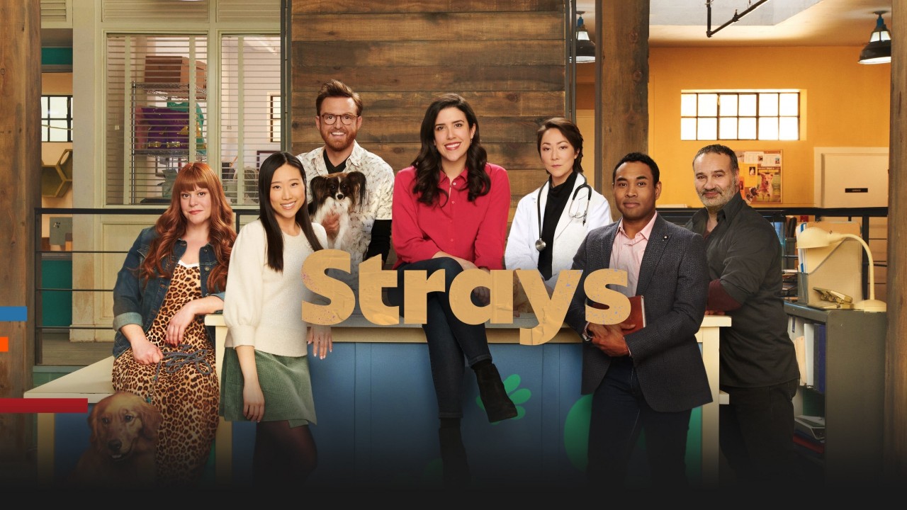 Watch Strays full HD on HiMovies.to Free