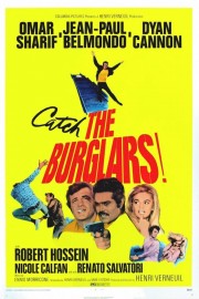 The Burglars