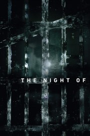 The Night Of - Season 1